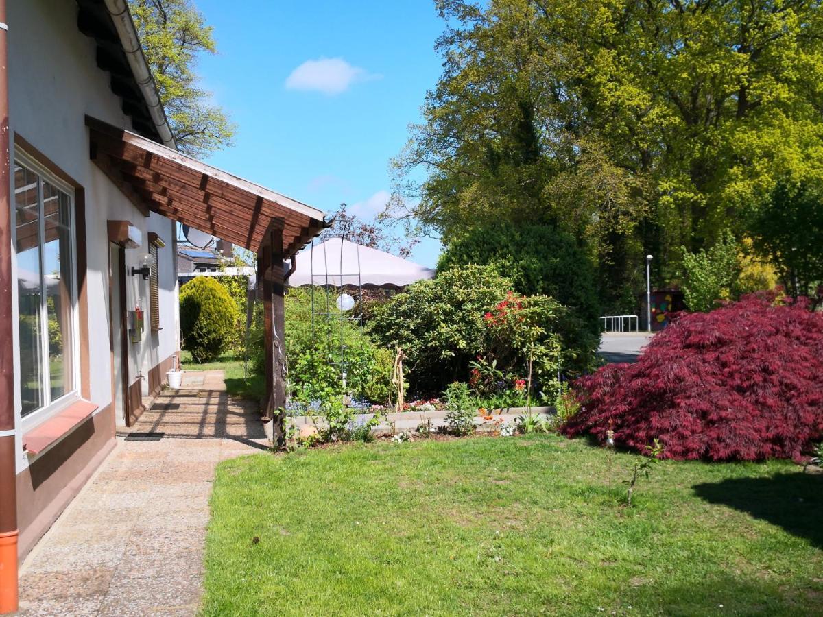 Kuenstler Ferienwohnung 3 Zimmer Kueche Bad Zentrale Lage Wulsbuttel 외부 사진